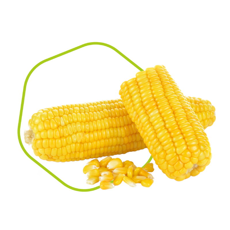 Freeze-dried vegetables